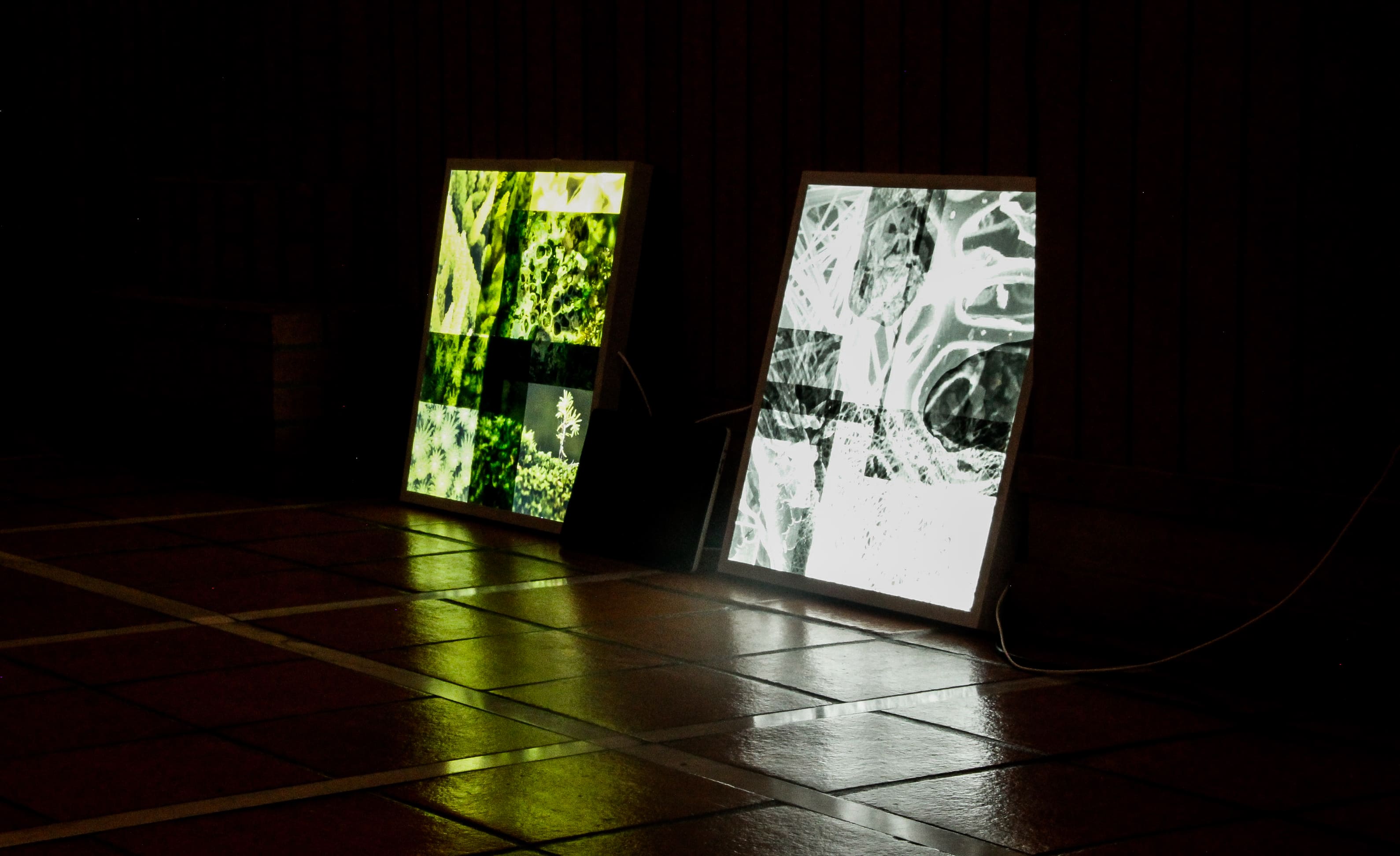 Luz e movimento: uma videoinstalação no congresso ARTECH.